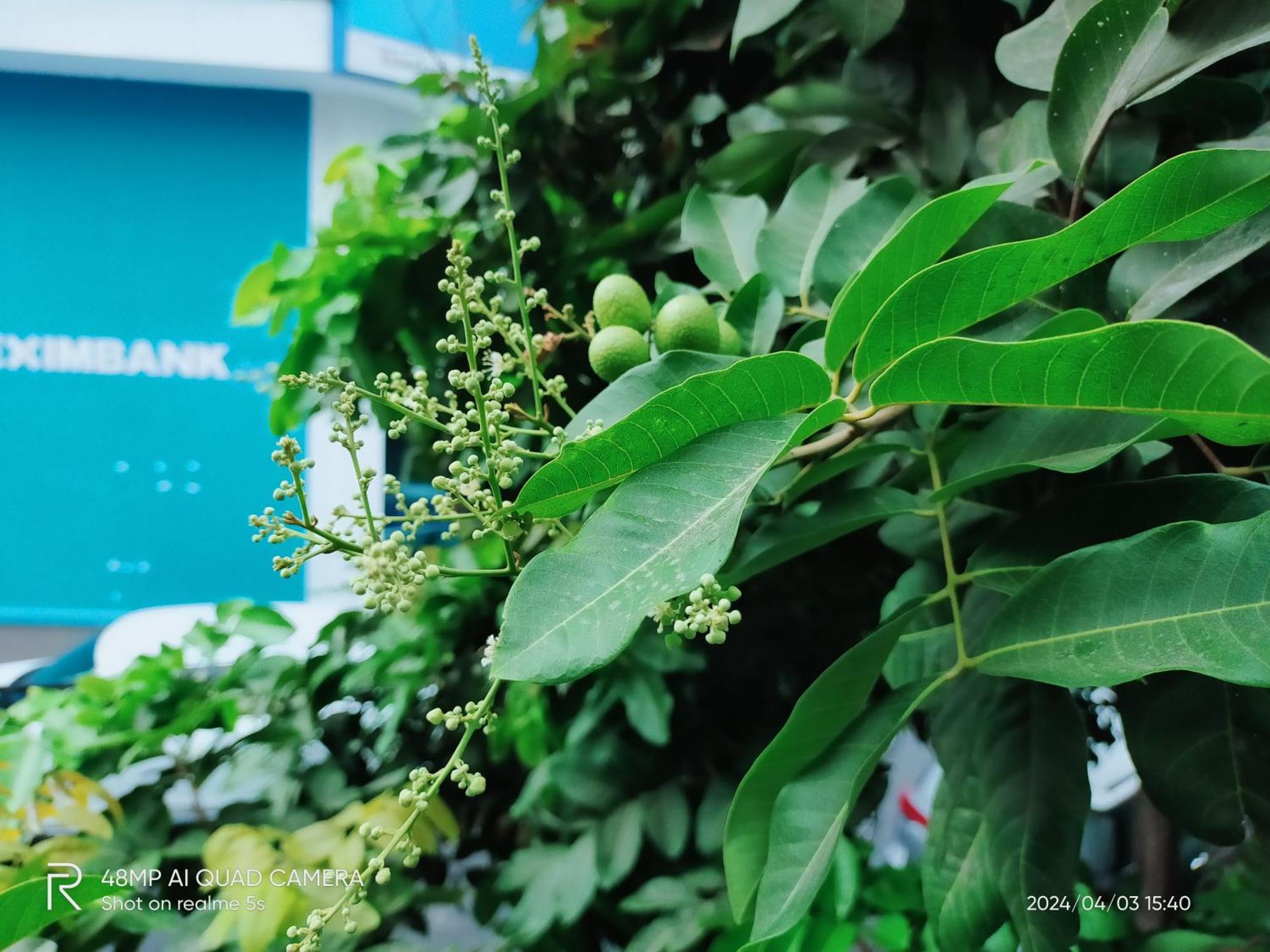 Shusimi House & Boutique Near Tan Son Nhat Airport Thành Pho Ho Chí Minh Esterno foto